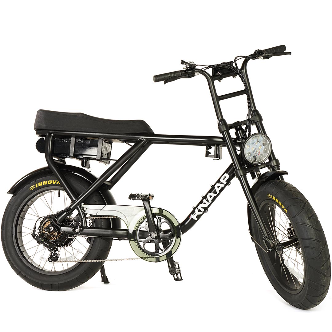 Fatbikes