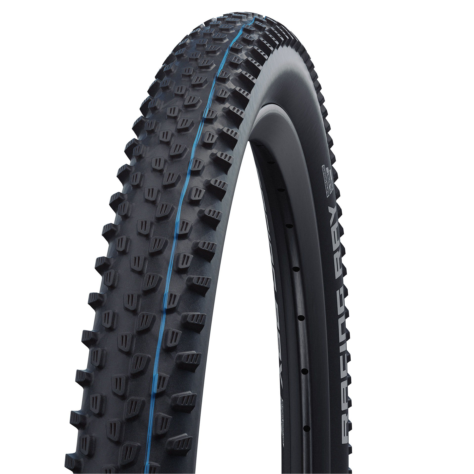 Schwalbe vouwband Racing Ray Evolution 57-622 TLE zwart