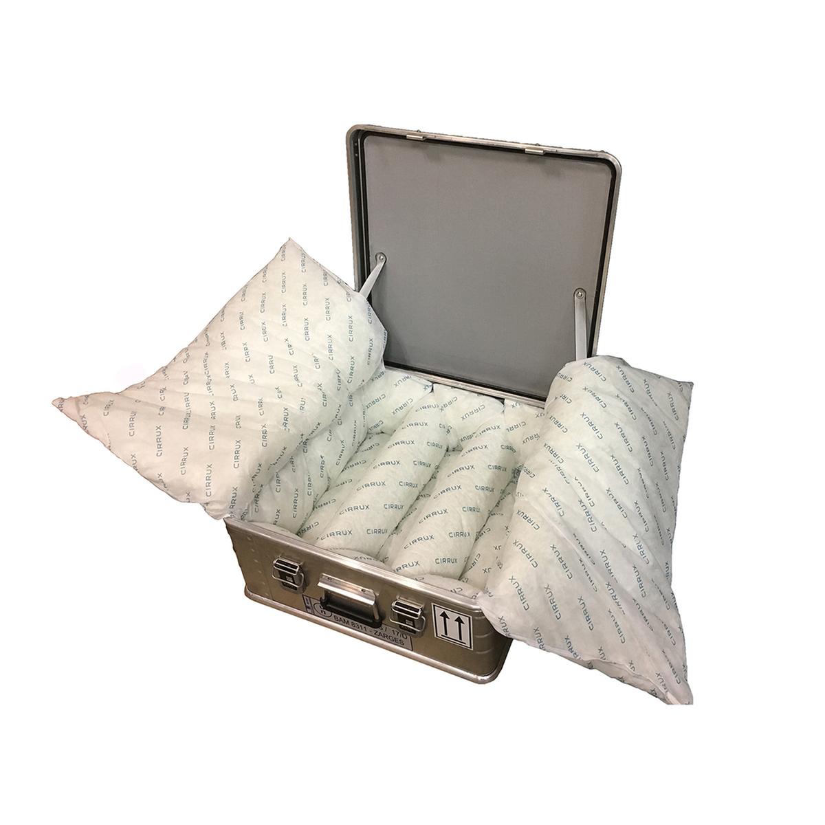 Bak voor gevaarlijke goederen "Accu Safe"