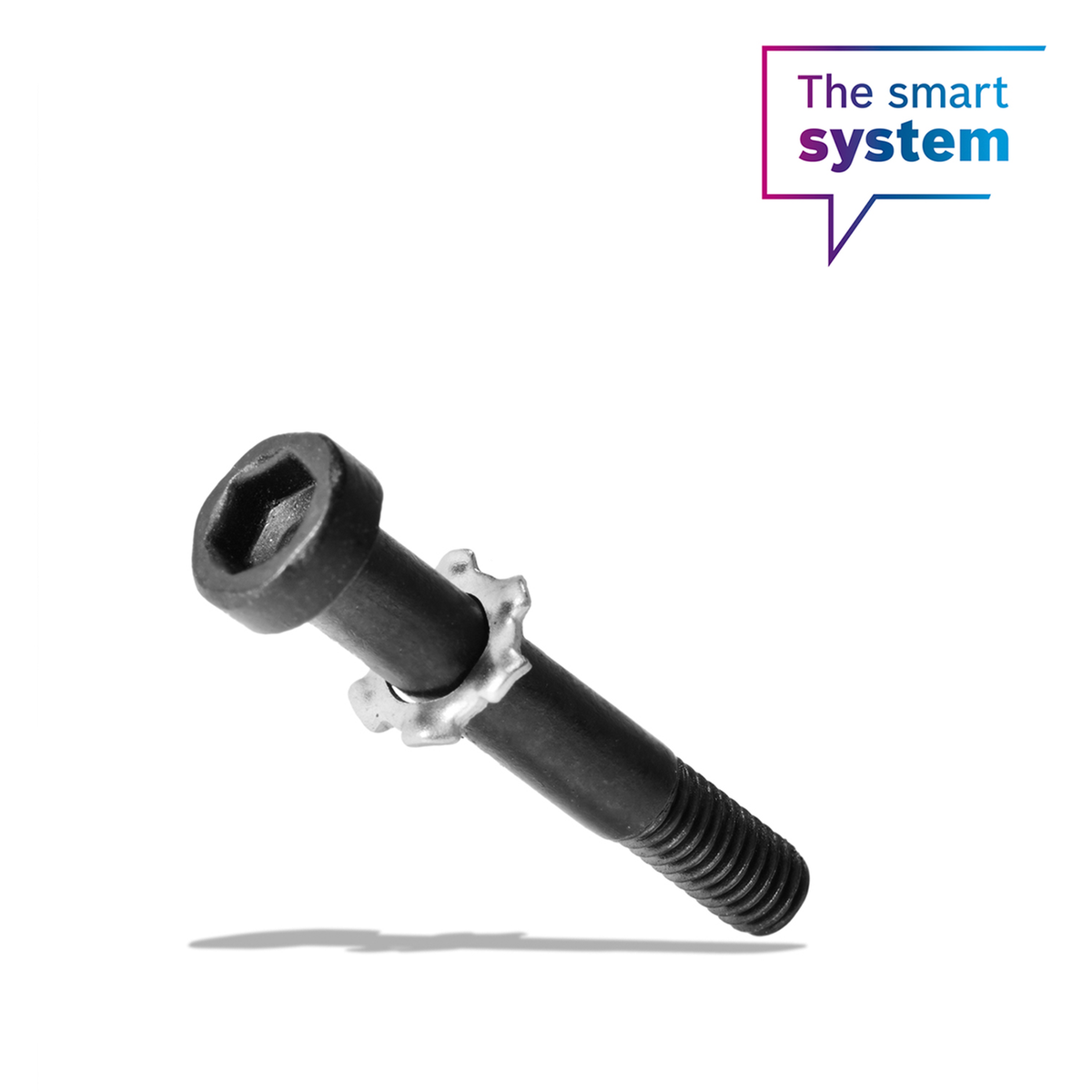 Schroef voor montageplaat Intuvia 100