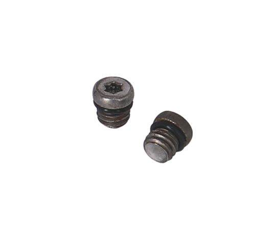 XLC Ontluchtingsbout voor SRAM/Avid Remmen – Ø 6mm / M6x0.8mm