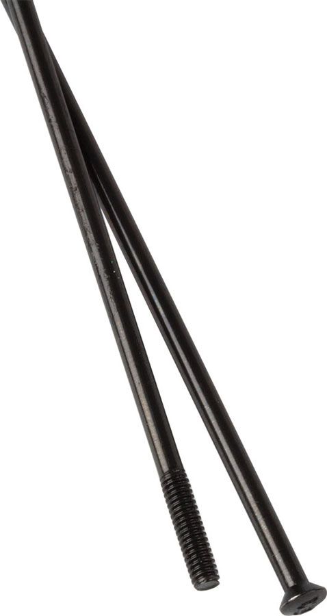 DT Swiss Champion Straightpull Spaak 14x306mm Zwart – Doos 100 Stuks