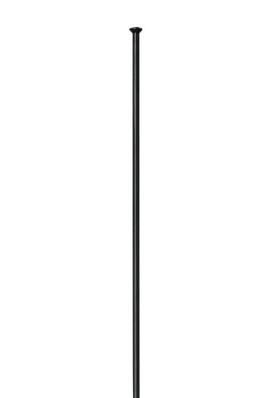 DT Swiss Competition Straightpull Spaak 14x296mm – Doos 100 Stuks
