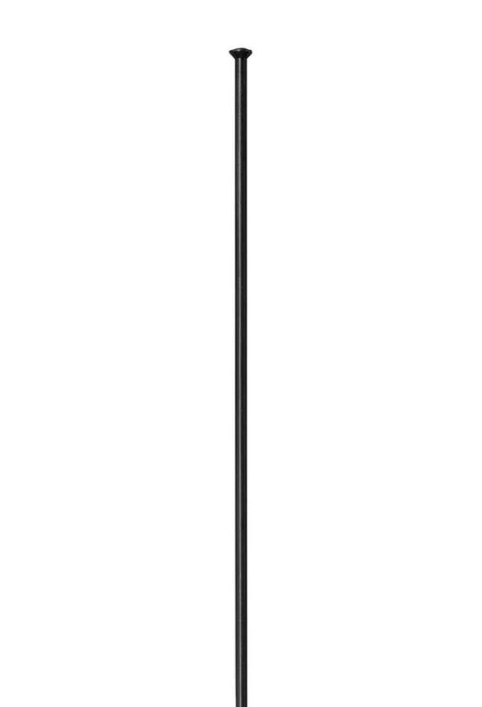 DT Swiss Competition Straightpull Spaak 14x302mm – Doos 100 Stuks