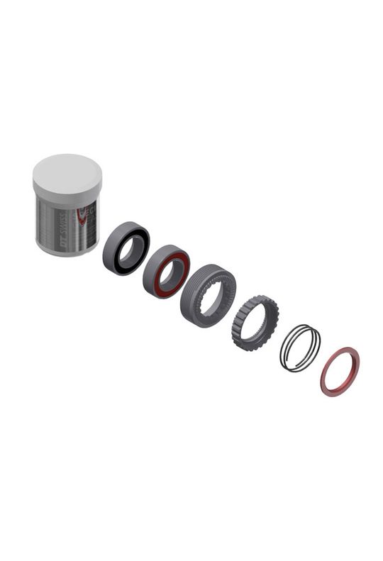 DT Swiss 240 Servicekit Ratchet met Lagers - 54T