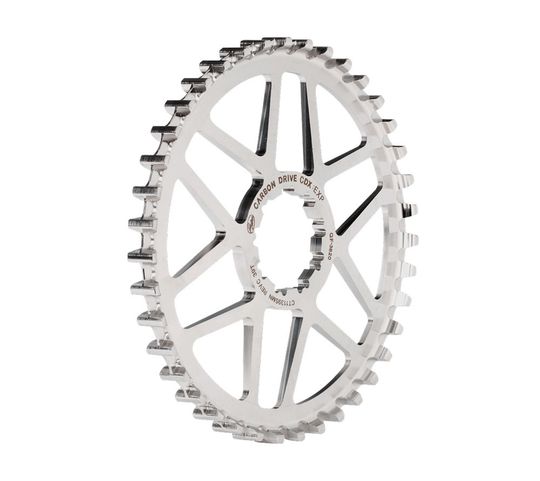 Gates Carbon Drive CDX Achtertandwiel RVS 39T – Maat 39 Tands