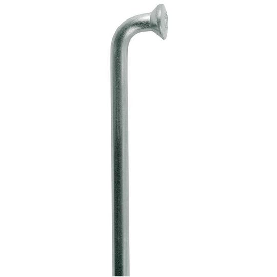 DT Swiss Champion Spaak 14x258mm RVS Zilver – 100 Stuks
