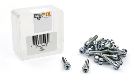 Bofix Inbusbout M6x30 - Zilver - Maat M6x30